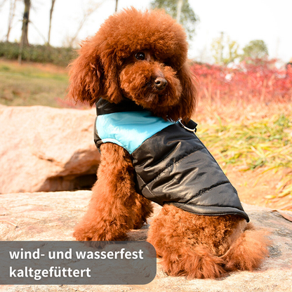 Gefütterter Hunde-Wintermantel - Warm und trocken durch Regen, Schnee und Kälte