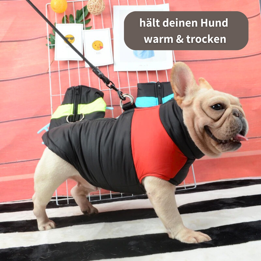 Gefütterter Hunde-Wintermantel - Warm und trocken durch Regen, Schnee und Kälte