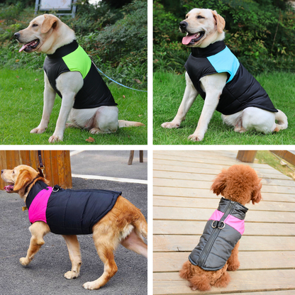 Gefütterter Hunde-Wintermantel - Warm und trocken durch Regen, Schnee und Kälte